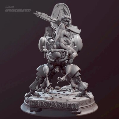 H/90mm resin figure model Intelligent Machine Warfare Armor and Girl 3D printing