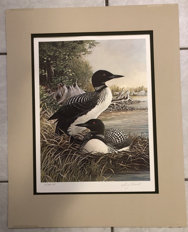 “Common Loons” Art Print #30 of 300 by Anthony Rudisill, 18”x14”, Used, Unframed