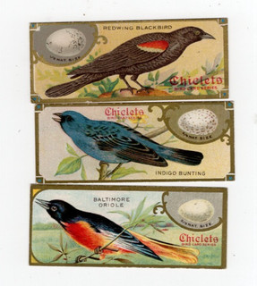 E225 Sen Sen Chiclets bird series 3 redwing blackbird indigo bunting baltimore