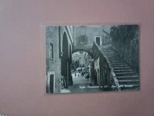 CARTOLINA   PIGLIO VIAGGIATA FROSINONE