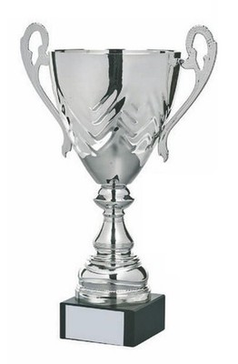 Personalisierter Pokal Pokal - Silber Präsentationspreis - 5 Größen - KOSTENLOSE GRAVUR