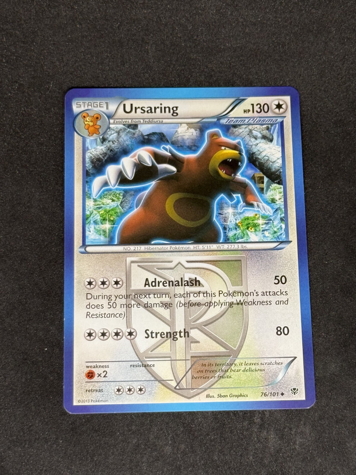 NM Ursaring 76/101 Plasma Blast Regular