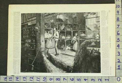 1876 BRITISH LEADENHALL POULTRY VENDER MARKET LONDON PEACOCK FOSTER PRINT RS80