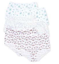 Teri 15001 Floral Cotton Brief Panty - 6 Pack