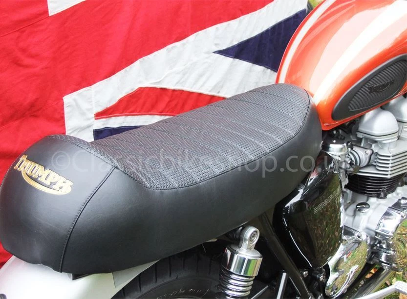 Smallest triumph motorcycle deals