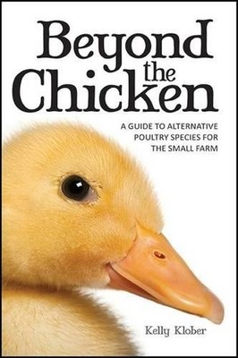 Klober Kelly Beyond the Chicken (Paperback) (UK IMPORT)