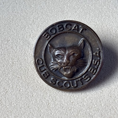 #ad Vintage BobCat Cub Scouts BSA Solid Brass Pin Brass Brooch Boy Scouts PiN $10.00