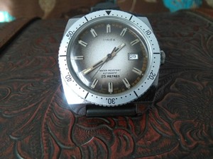 timepiece timex