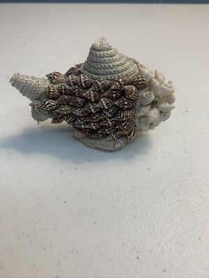 Seashell Fish 3  Whimsical Shell Art Decoration Figurine