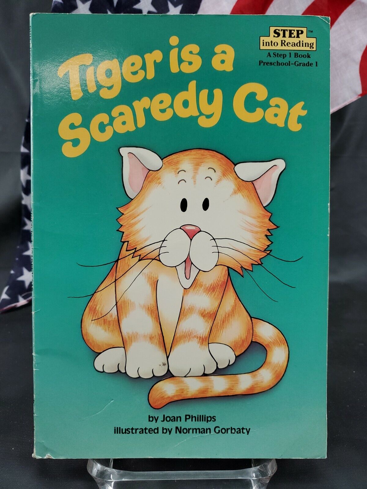 Scaredy Cat, Book