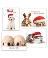 Masterpiece Studios Masterpiece Studios 16-Count Boxed Assorted Christmas Cards