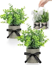 DomeStar 2PCS Small Fake Plants Eucalyptus, Artificial Plants Indoor for Office 