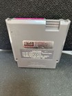 Foto 8 di 8