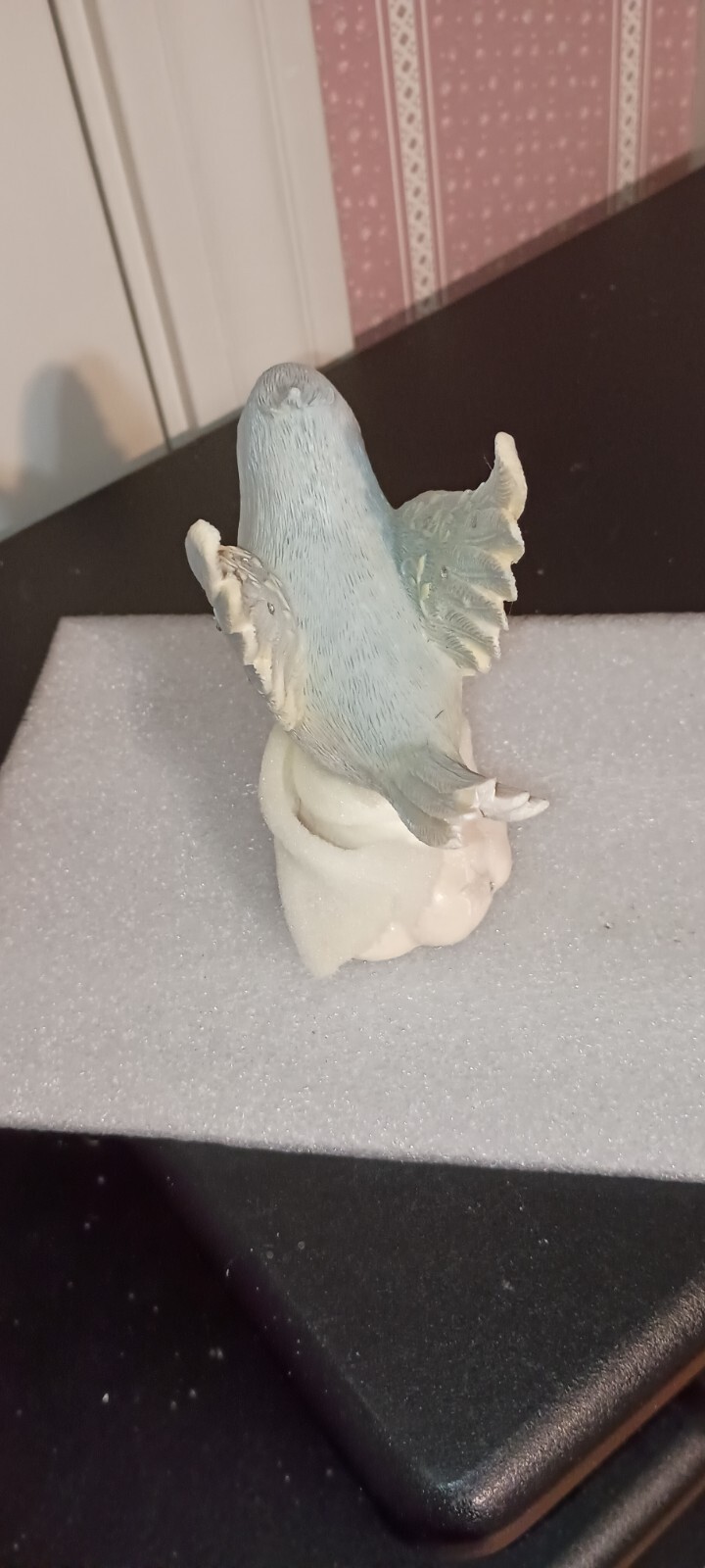 Picture 5 of 5