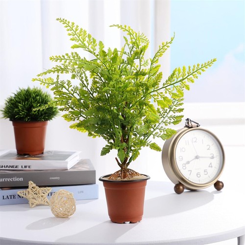100/200Pcs Small Nursery Pots Plastic Flower Pot: Plant Seeding Pots for Garden - Picture 18 of 22