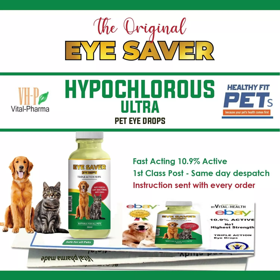 CONJUNCTIVITIS EYE INFECTION DROPS FOR DOGS CATS RABBITS ALL PETS VET