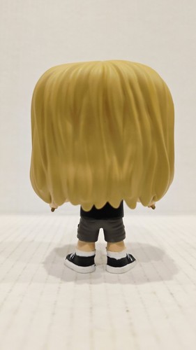🔥Pop Funko CUSTOM TAYLOR HAWKINS Exklusives Vinyl-Sammlerstück FOO FIGHTERS Chase - Bild 10 von 12