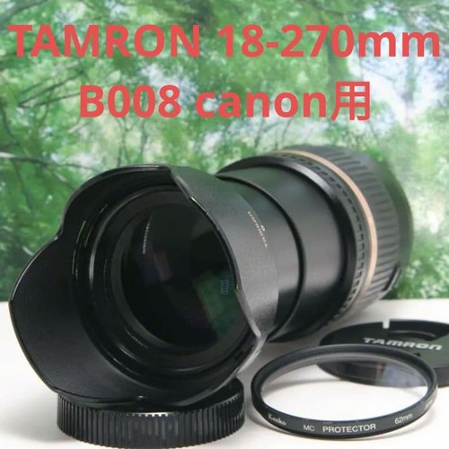 A Super Convenient Lens With Image Stabilization: TAMRON 18-270 Canon