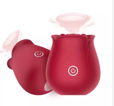POPULAR Rose Clitoral Pleasure Point Oral Sucking Vibrating 10 Speed Sex Toy  | eBay