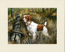 BRITTANY SPANIEL IN WOODS GREAT GUN DOG PRINT MOUNTED READY TO FRAME