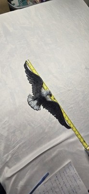 Vintage Cast Iron Metal Spread Eagle Mid Century Modern Decor