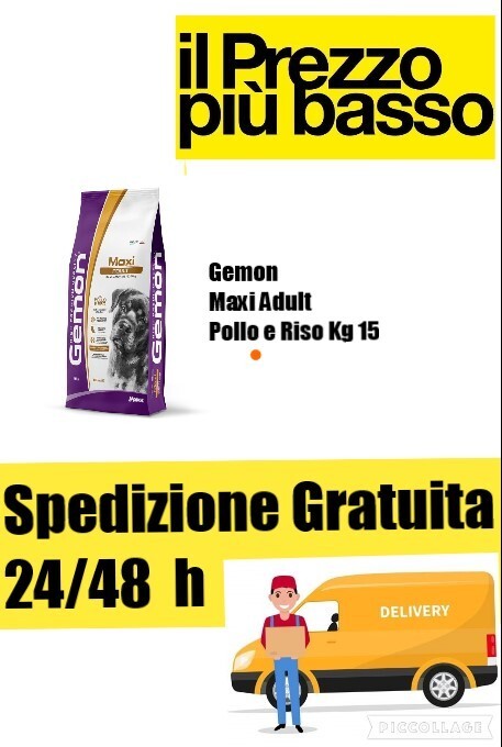 Gemon di Monge Maxi Adult Pollo e Riso kg 15