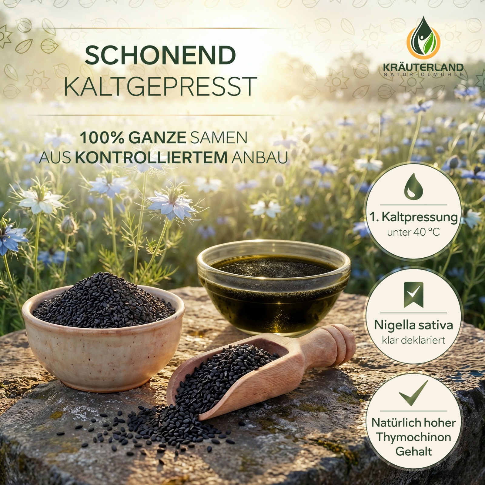 KRÄUTERLAND Schwarzkümmelöl ungefiltert 500ml ägyptisch kaltgepresst Thymochinon 4