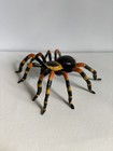Handmade Hand-painted 5" Lg Mexican Red-leg Tarantula Figurine Replica Spider — photo 1