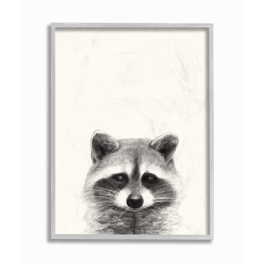 Victoria Borges Raccoon Portrait Wall Art Drawing Design 16 x 1