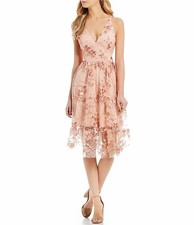 dress the population ally lace dress