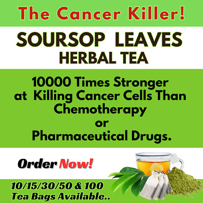 Organic Soursop Leaves Herbal Tea Bags Annona Muricata Guanabana Graviola Powder