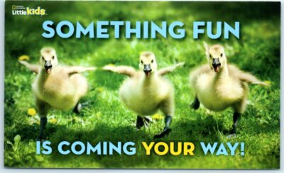 Postcard - Something Fun Is Coming Your Way!