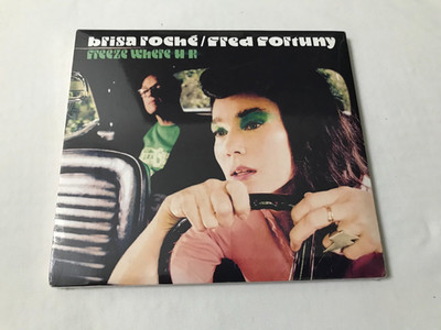 CD ALBUM DIGIPACK 12T BRISA ROCHE / FRED FORTUNY FREEZE WHERE U R (NEU)