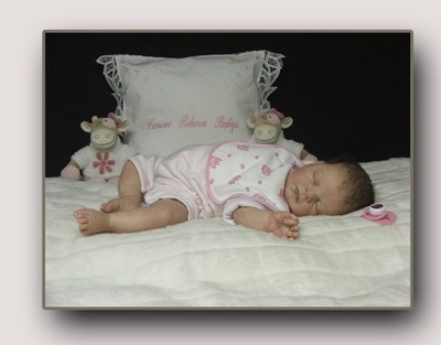 rebecca by reva schick