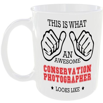 TOLLE KONSERVIERUNGSFOTOGRAF SIEHT AUS WIE TASSE IDEALES GESCHENK TASSE ARBEIT JOB KARRIERE