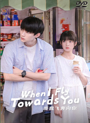 When I Fly Towards You  ~ Chinese Drama DVD ~ NTSC ~ Region ALL # GOOD ENG SUB #