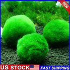 4cm Marimo Moss Ball Cladophora Live Aquarium Plant Fish Tank Plant Decor