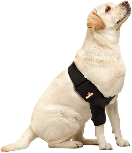 diy dog elbow protector