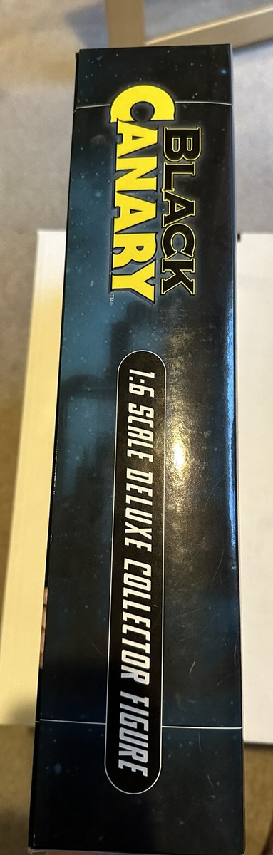 DC Direct 1:6 Scale 13'' Deluxe Collector Figure Black
