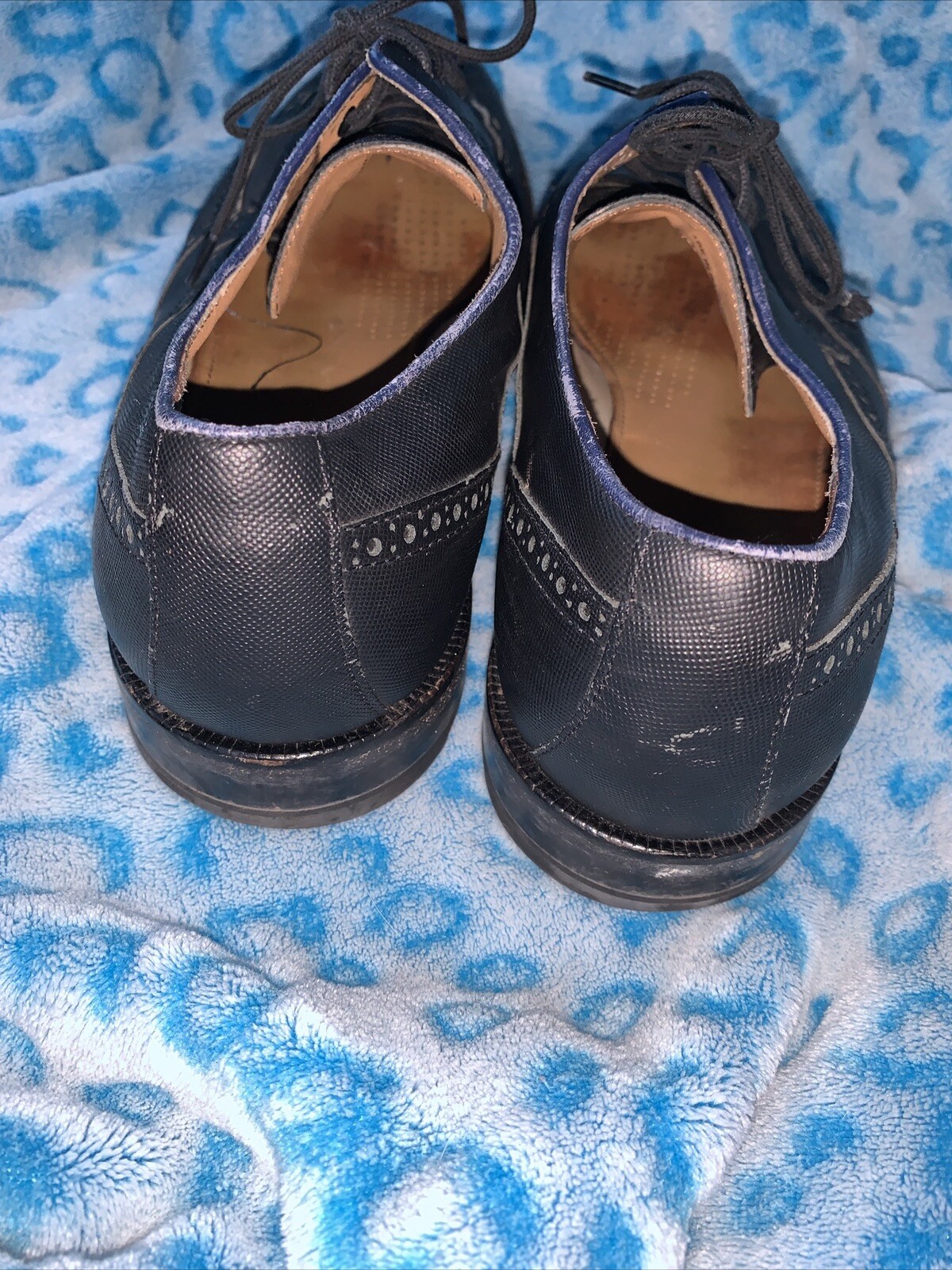 SAOLA Scarpe eleganti casual da uomo COLE HAAN blu grigio pelle a punta di ala Oxford 10 M ottime condizioni (16