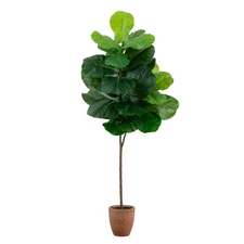 6' Artificial Giant Leaf Fiddle Leaf Fig Tree in Planter, Real Touch Leaves