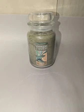 Yankee Candle Large Jar 22oz - Sage And Citrus NEW Original Scent FREE SHIPPING 