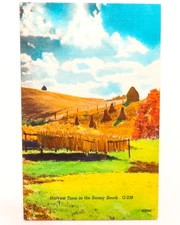 Harvest Time Sunny South Postcard Vintage Linen Drying Corn Farm Landscape Hill