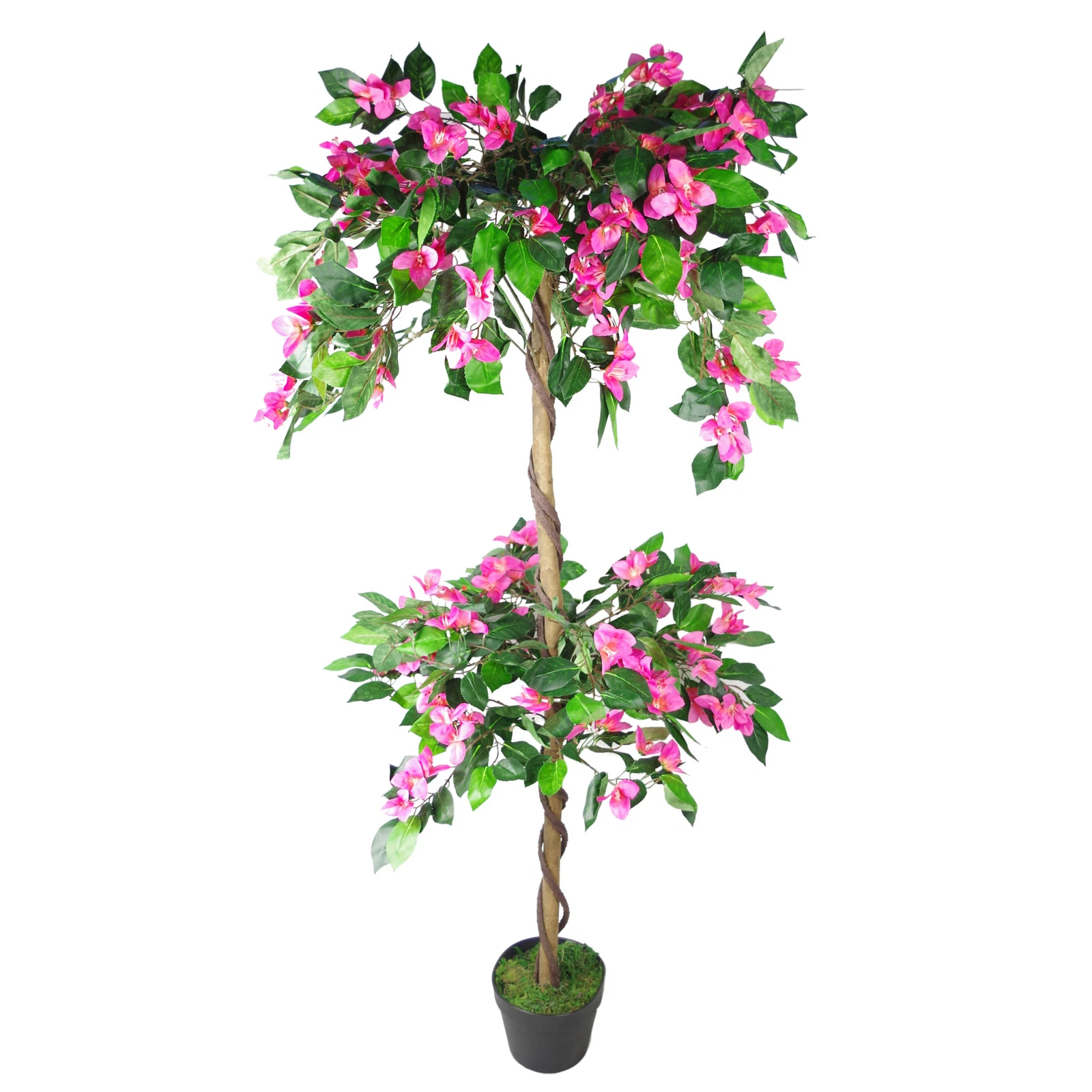 140cm Rhododendron - 7249