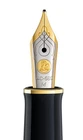 Pelikan M400 Medium Nib - 14K Two-Tone Gold