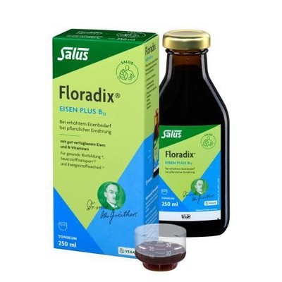 FLORADIX Eisen plus B12 vegan Tonikum 250 ml PZN 5101651