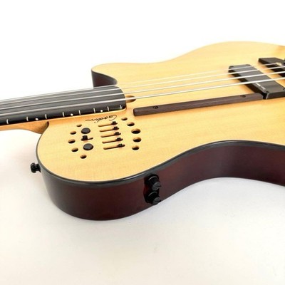 Rare Godin A4 Ultra Fretless E | eBay