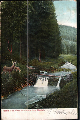 Partie a.d. romantischen Ilsetal  1907