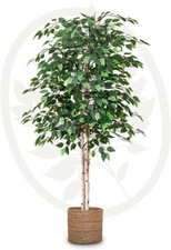 Artificial Ficus Tree 5FT Tall, Fake Tree with Natural Wood Trunk and Realistic