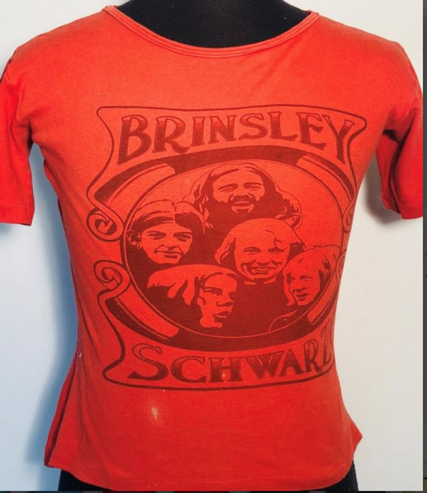BRINSLEY SCHWARZ VINTAGE MEN'S OFFICIAL 1974 UK PROMO SHIRT PUNK